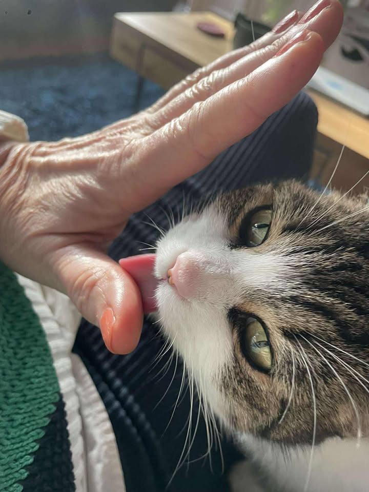 Verkuschelte Grüße von Mina