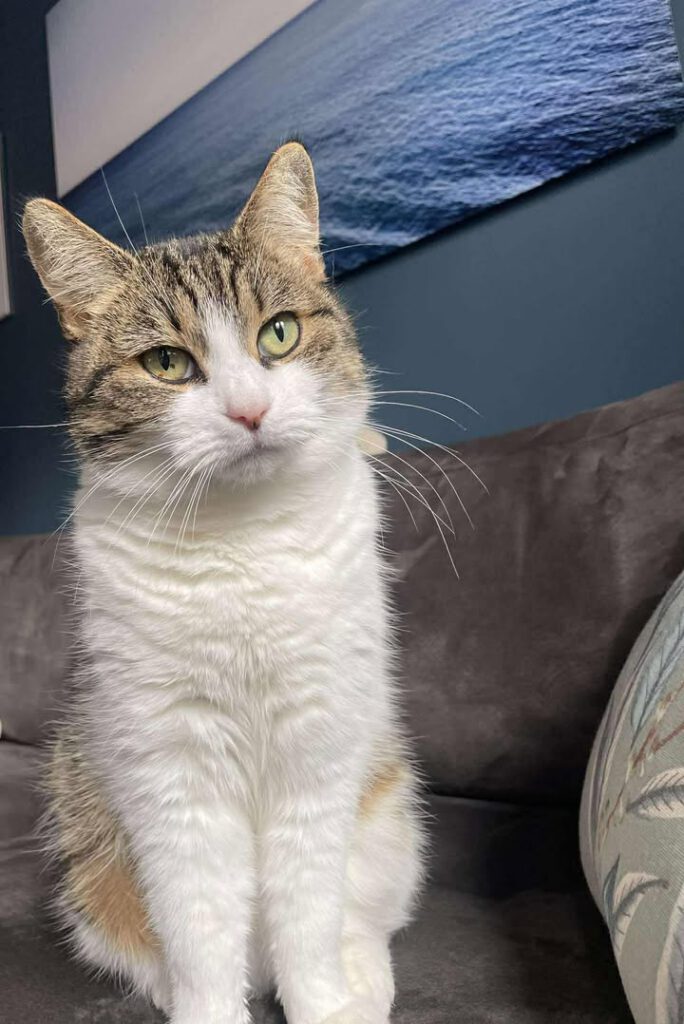 Verkuschelte Grüße von Mina