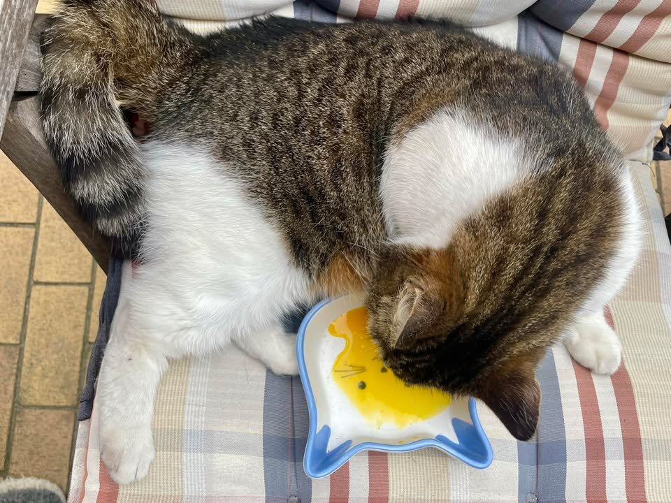 Verkuschelte Grüße von Mina