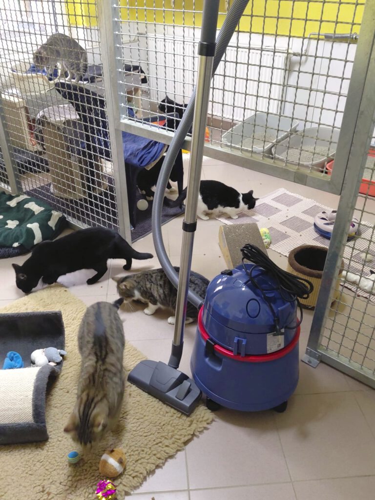 DANKE für die tolle Spende!!!