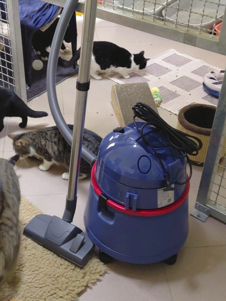 DANKE für die tolle Spende!!!