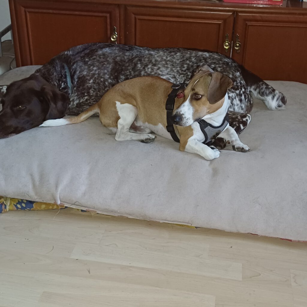 Atze ist glücklich :)