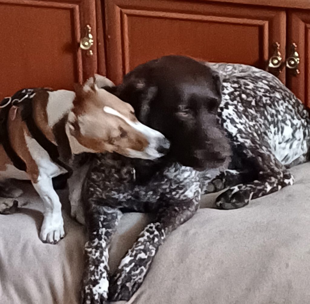 Atze ist glücklich :)