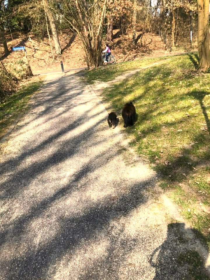 Letzte glückliche, erfüllte Grüße von Benny 🥰🙏🥀🤍