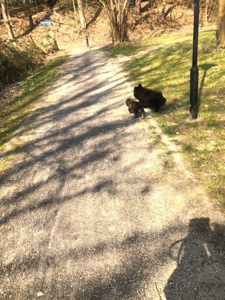 Letzte glückliche, erfüllte Grüße von Benny 🥰🙏🥀🤍