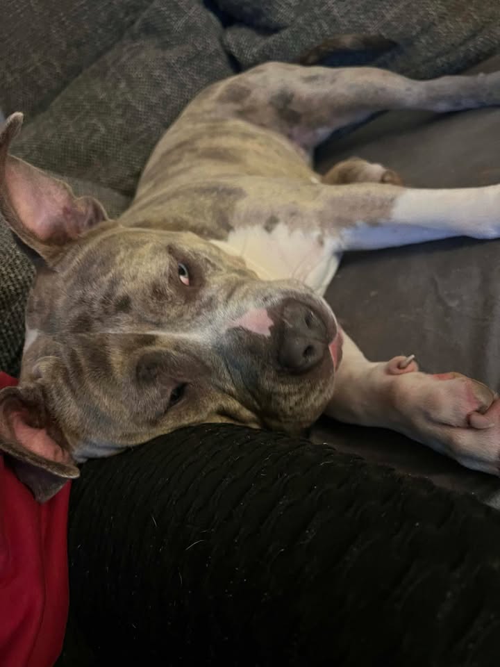 Berta - putziger gehts nicht!