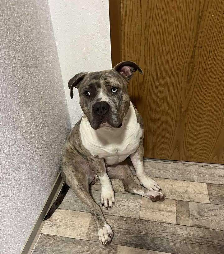 Berta - putziger gehts nicht!