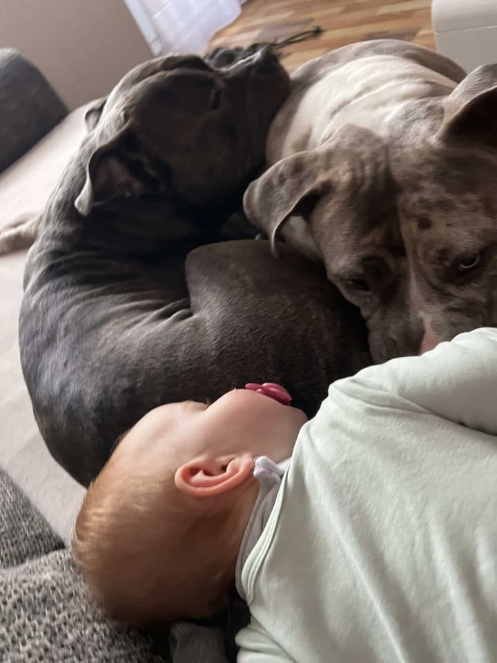 Berta - putziger gehts nicht!