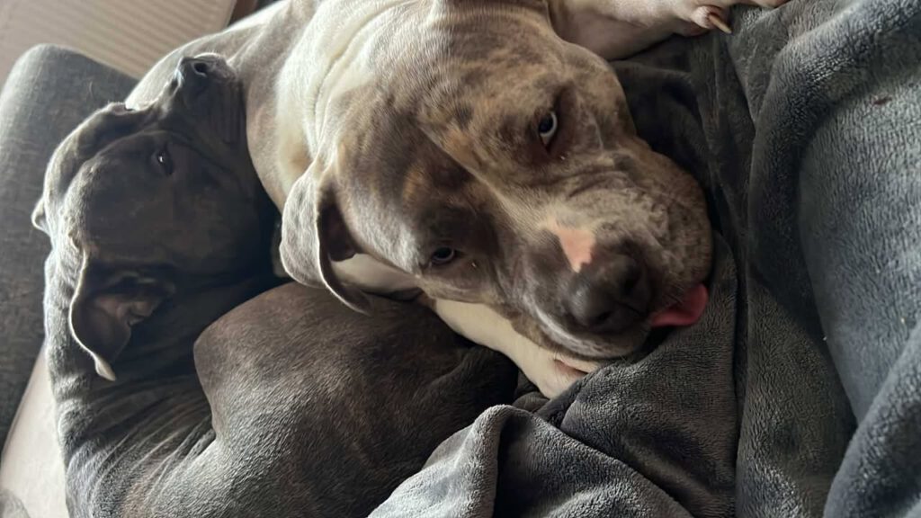 Berta - putziger gehts nicht!