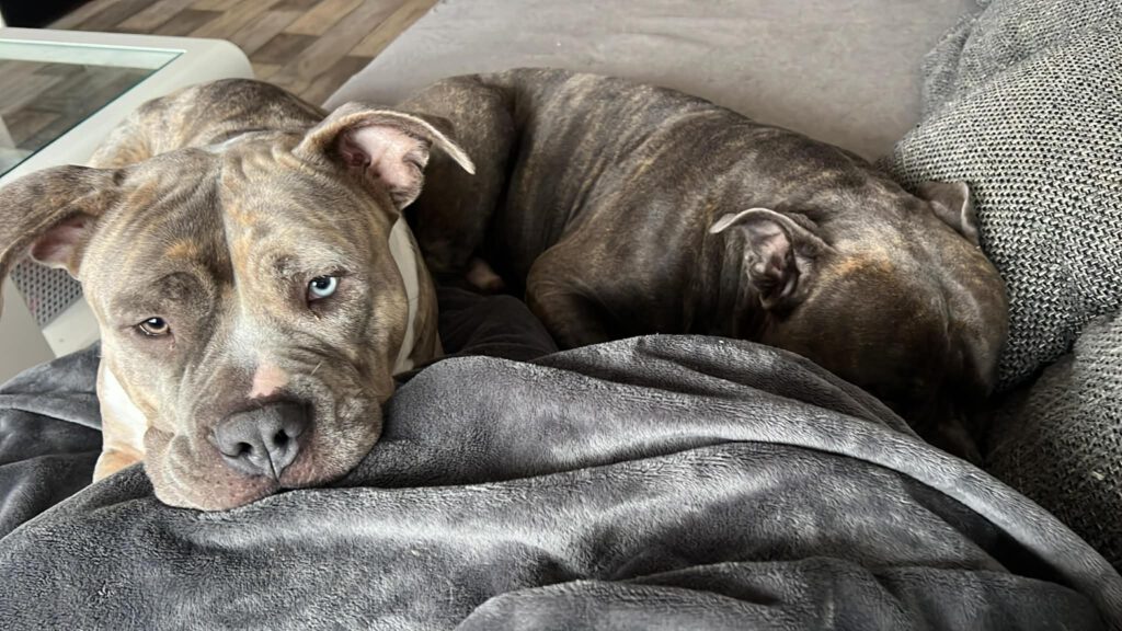 Berta - putziger gehts nicht!