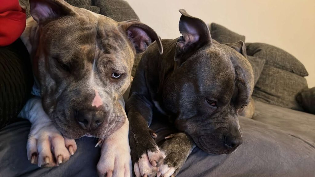 Berta - putziger gehts nicht!