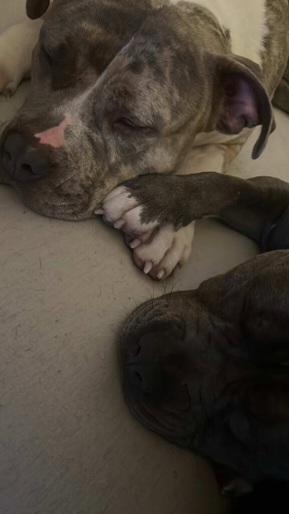 Berta - putziger gehts nicht!