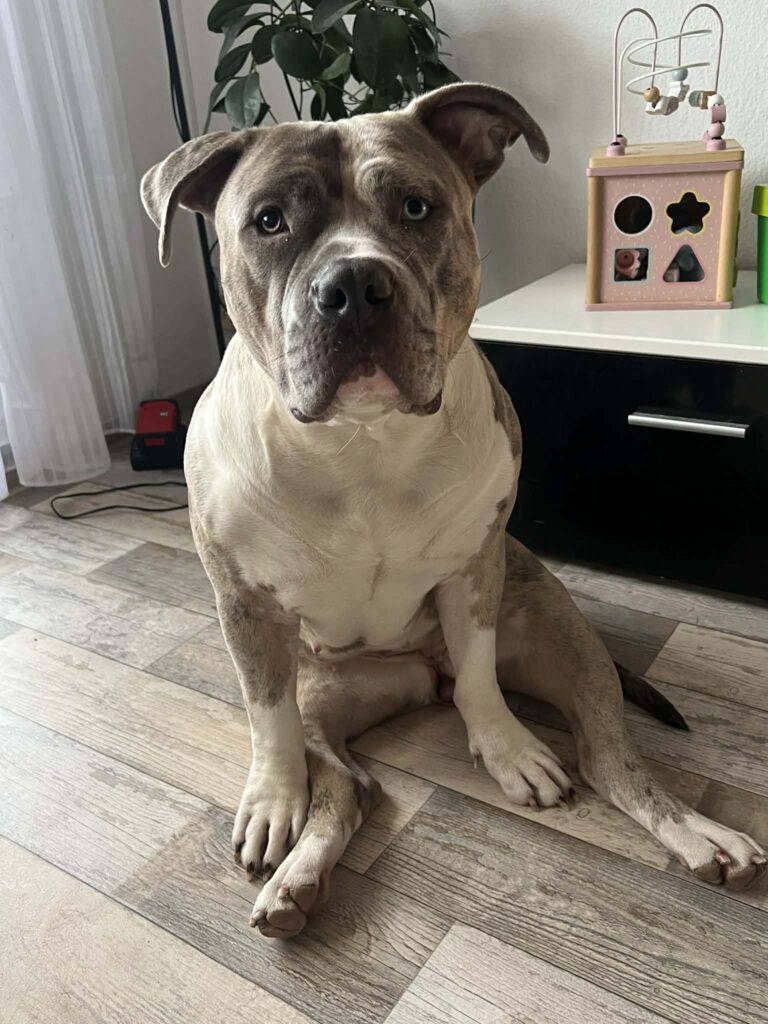 Berta - putziger gehts nicht!