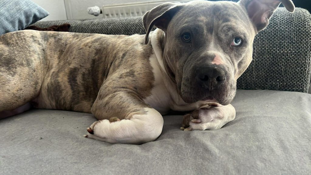 Berta - putziger gehts nicht!