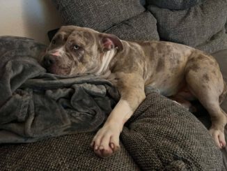 Berta - putziger gehts nicht!