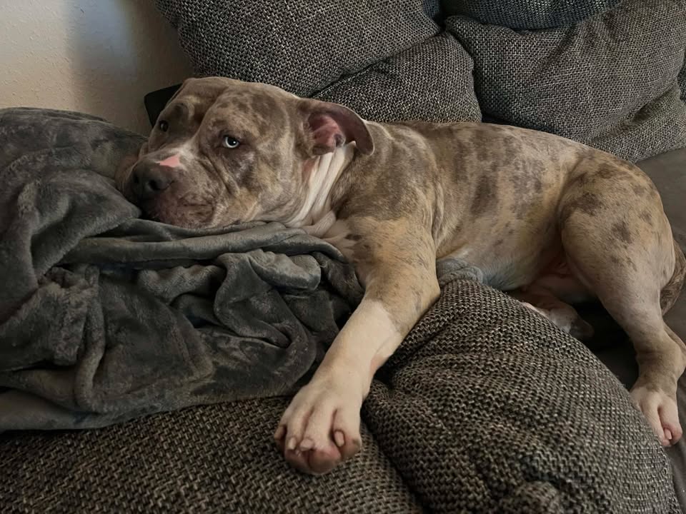 Berta - putziger gehts nicht!