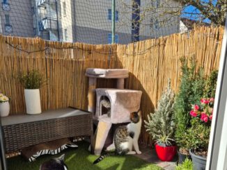 Neue grüne Grüße von Cosmo (Casi)