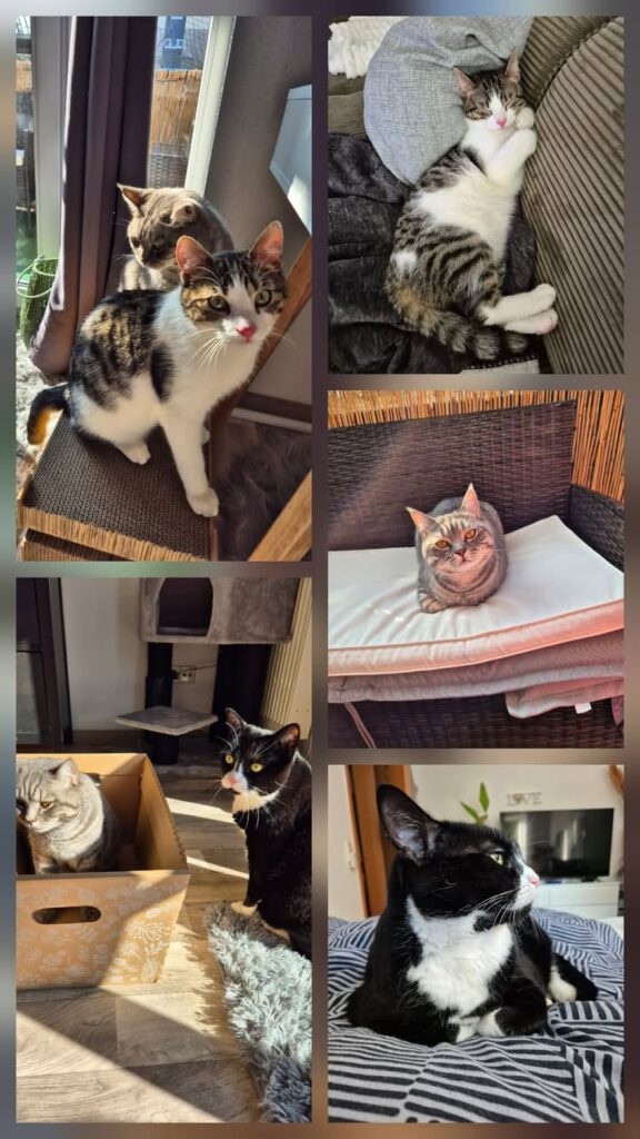 Neue grüne Grüße von Cosmo (Casi)