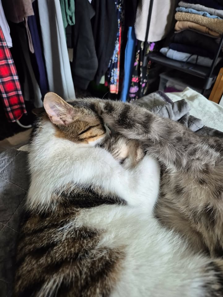 Neue grüne Grüße von Cosmo (Casi)