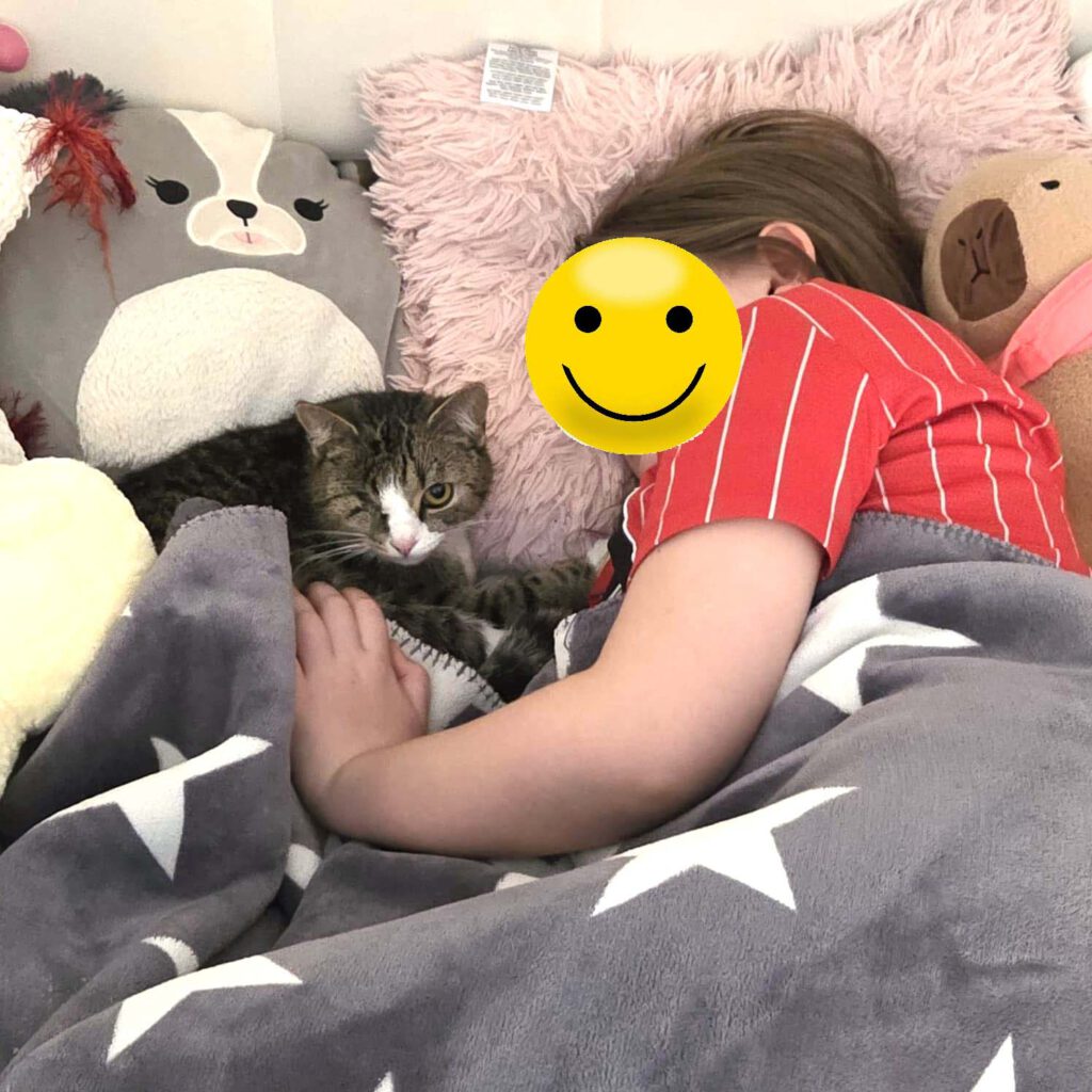 Ein Paradies für Plinky