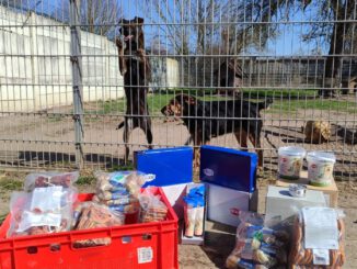 Danke für die Trixie-Spende!