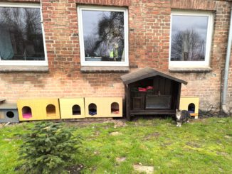 Danke für die Hütten!