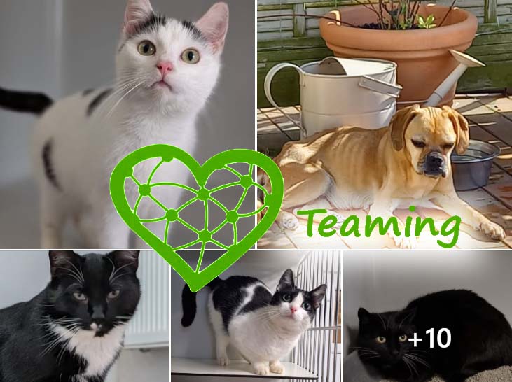 Teaming Update April