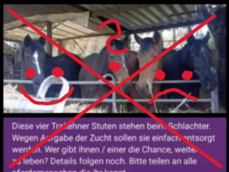 Update zum Pferde-Notaufruf