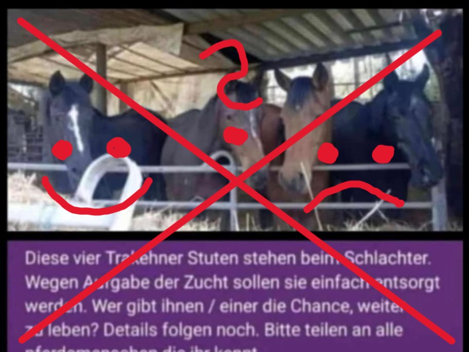 Update zum Pferde-Notaufruf