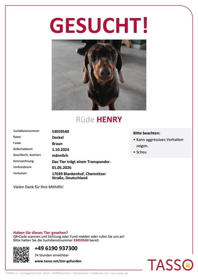 Dackel Henry in 17039 Wulkenzin vermisst!