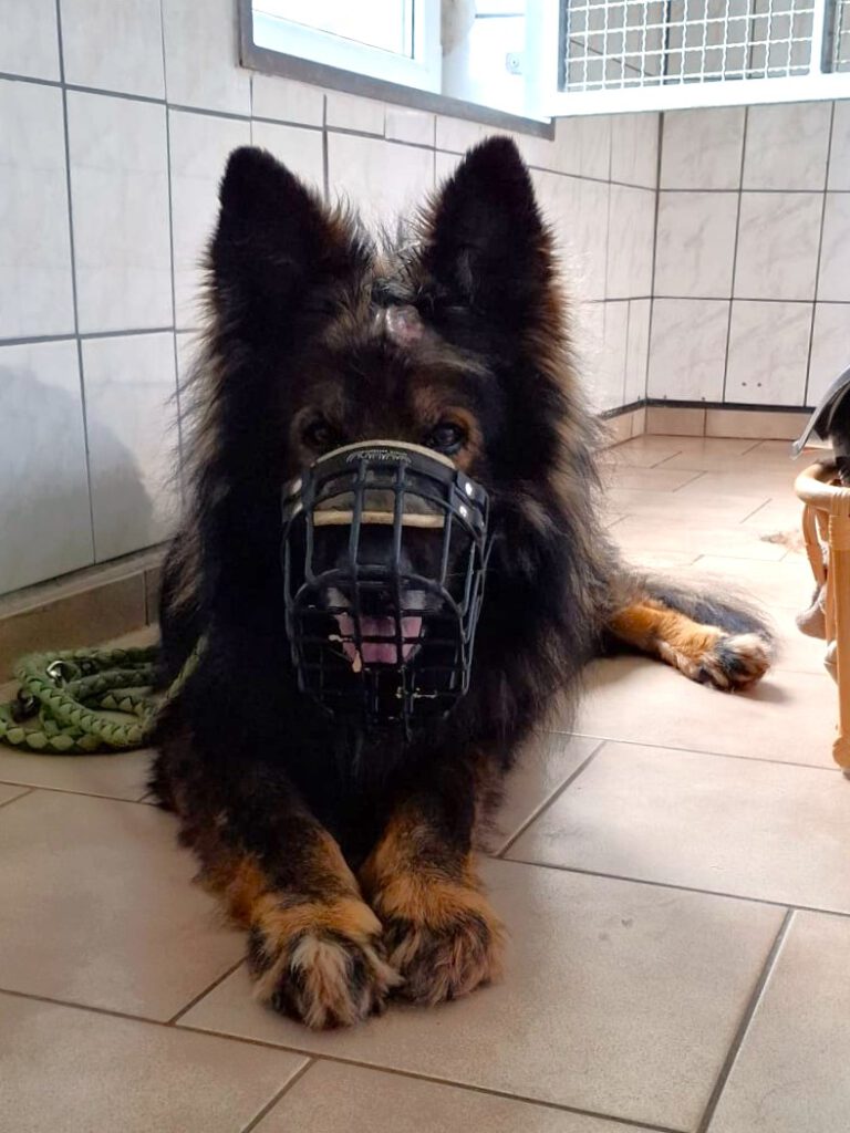 DANKE an Fellgeflüster Tiersalon NB!