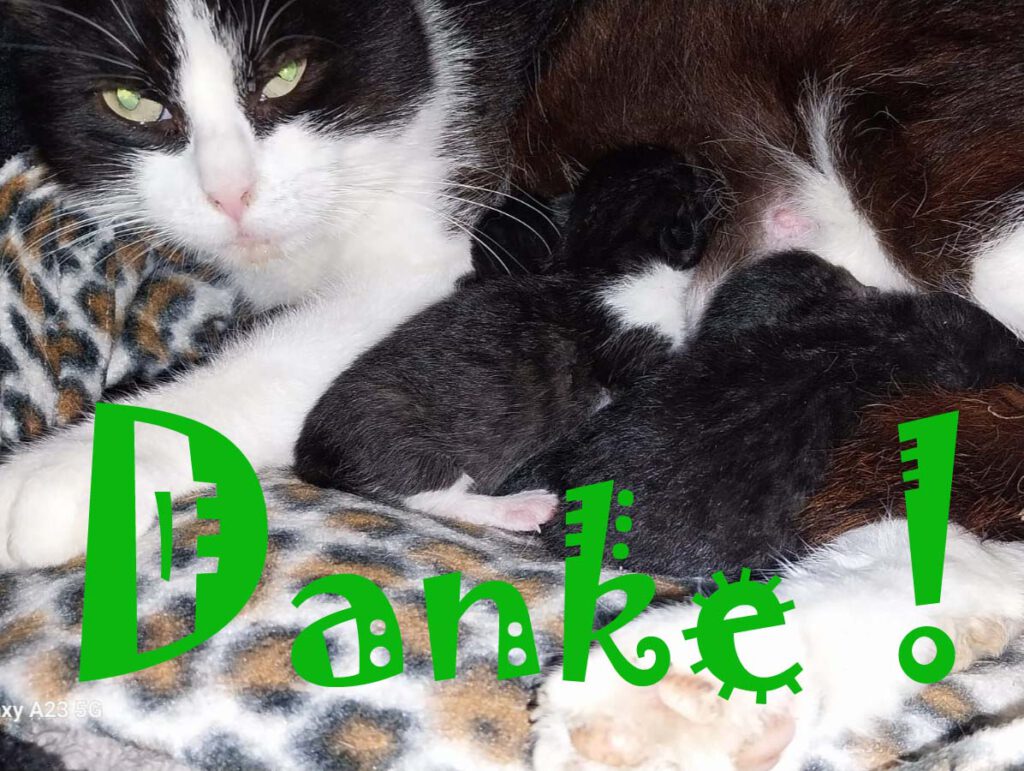 DANK unseren stillen Spendern