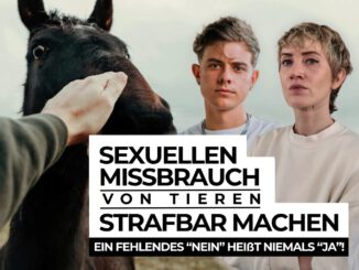 Petition gegen Missbrauch eines Pferdes!