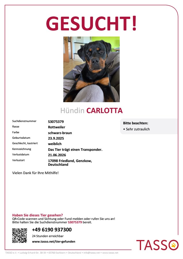 Rotti CARLOTTA in 17098 Genzkow vermisst!