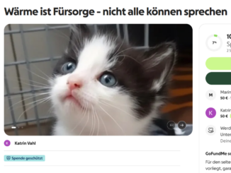 Spendet auf GoFundMe für unser Heizöl!