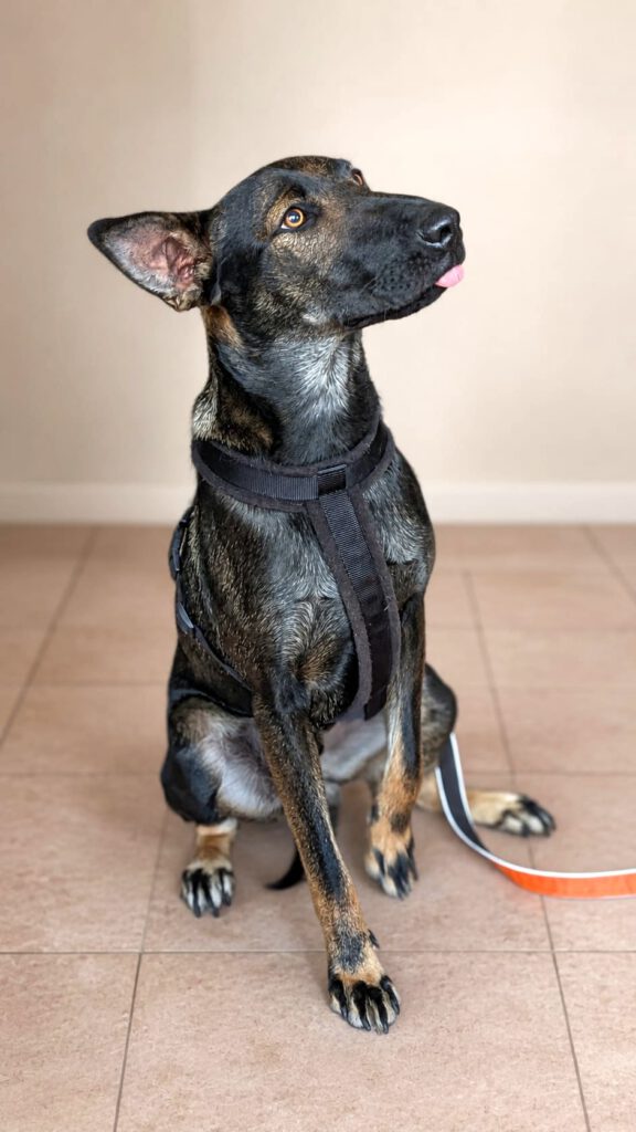 Pepper