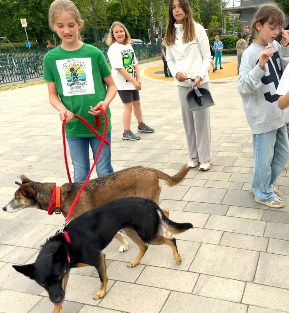 Danke liebe Kinder für die Spende!