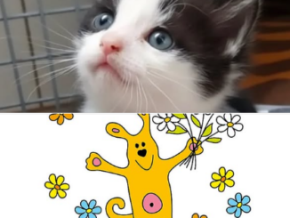 Ölivia & Öliver und WIR sagen DANKE!!!