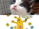 Ölivia & Öliver und WIR sagen DANKE!!!
