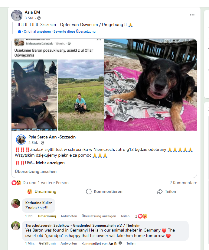 Happy End für Fundhund – Opi Baron aus Szczecin ❣️
