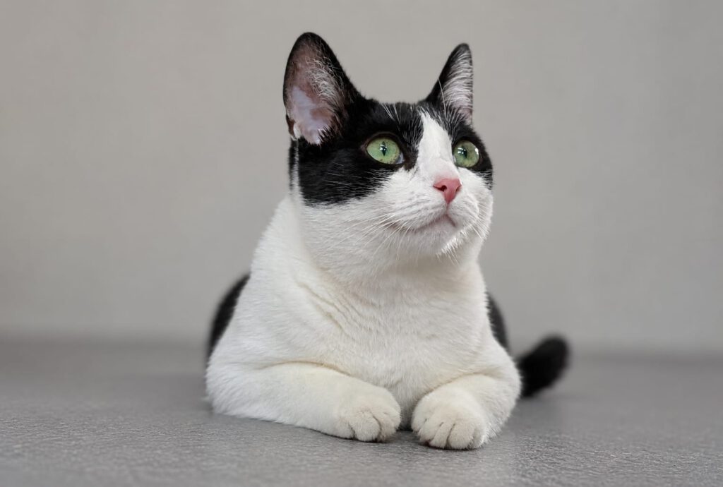 Fiene sucht Einzelplatz