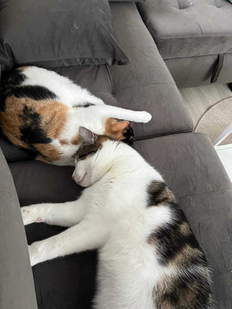 Lilly & Mojito lassen grüßen