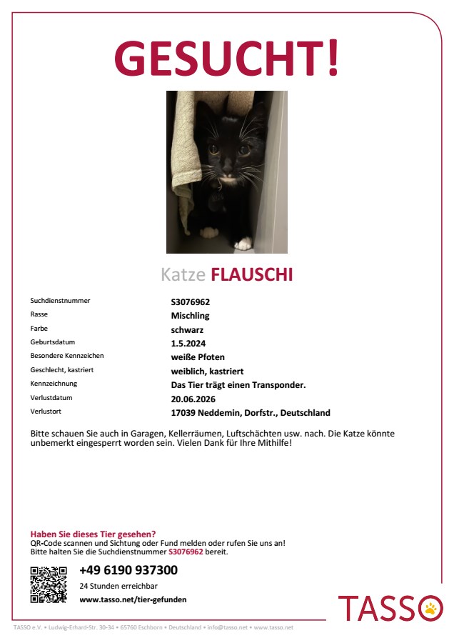 Katze FLAUSCHI VERMISST in 17039 Hohenmin