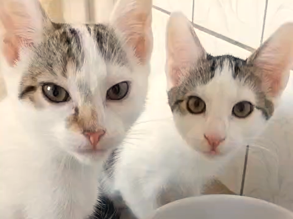 Vivien & Vaiana