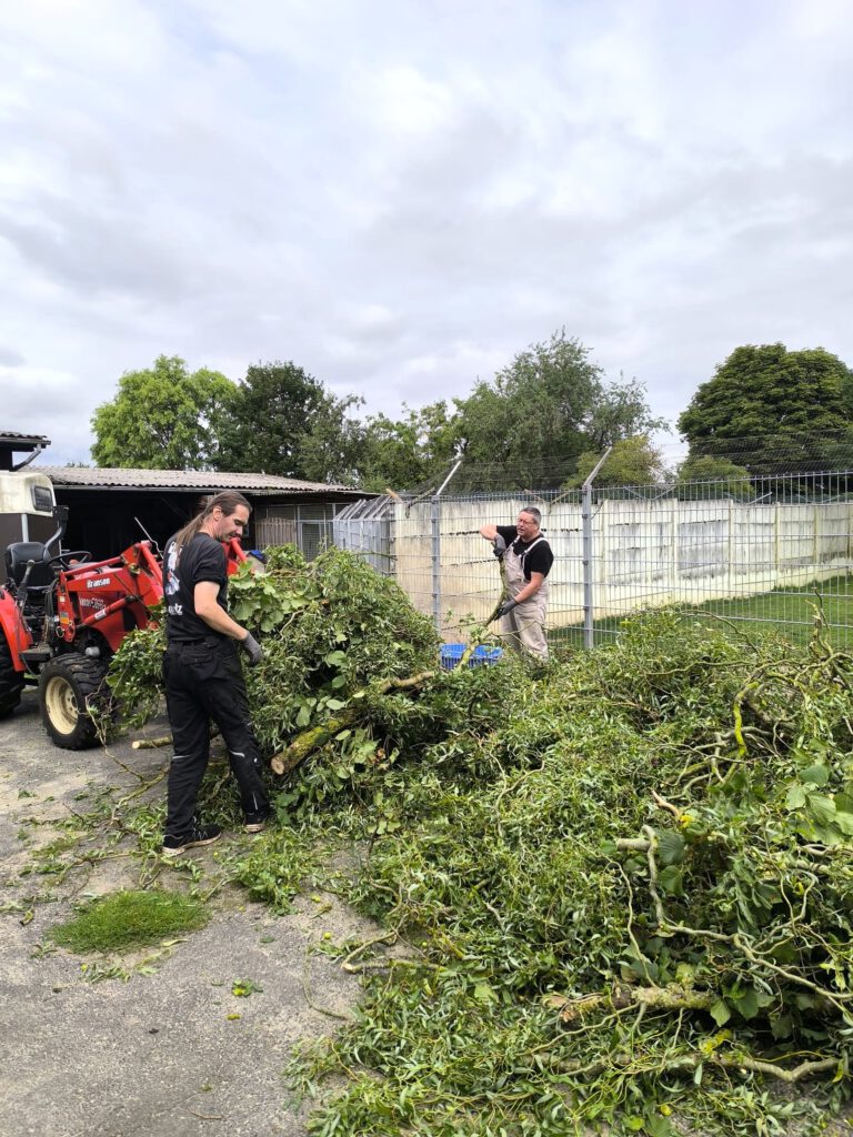 BAUTEAM-Einsatz 💪💪💪💪