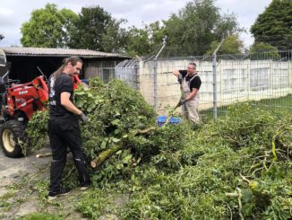 BAUTEAM-Einsatz 💪💪💪💪