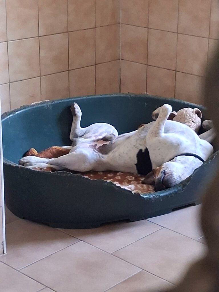 Unser Cooper macht es richtig: