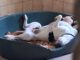 Unser Cooper macht es richtig:
