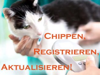 Chippen, Registrieren, Aktualisieren!