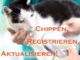 Chippen, Registrieren, Aktualisieren!